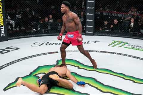 Top 30 Best MMA Knockouts of 2023 - MMA Fighter