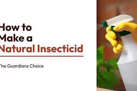 7 Ways to Make a Natural Insecticide | A Complete Guide | The Guardian's Choice