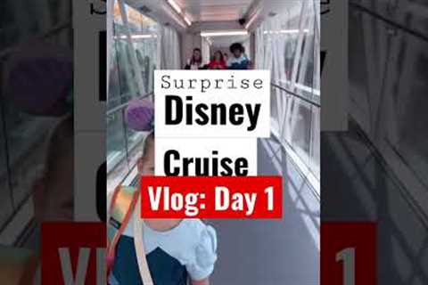 This Disney Cruise Is A Dream…Get It? DREAM? #shorts30 #disney #vacation