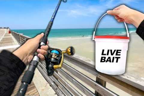 I Caught the WEIRDEST Fish Ever.. and ATE it (Catch and Cook) Pier Fishing