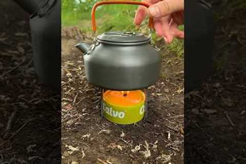 Survival bushcraft skills #survival  #bushcraft #camping #outdoors #forest