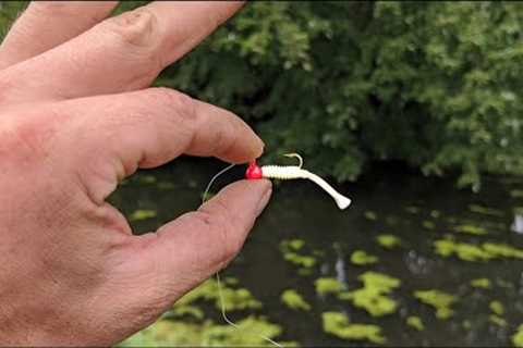 This Little Lure is a Fish Catching Machine!