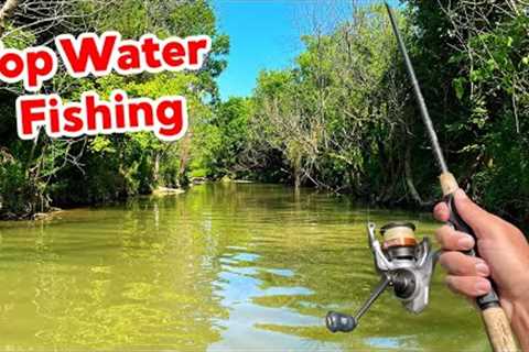 Topwater Blowups while Creek Wading