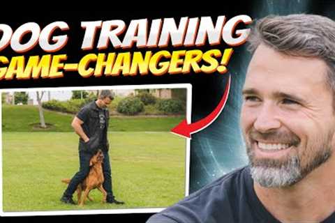 The One Event That Solves Most Dog Training Problems!