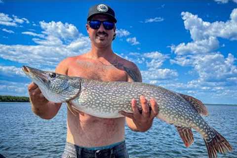 Tobin Lake Fishing | Classic Sh!t Show | Walleye, Sauger, Pike
