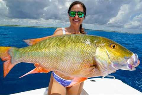 MASSIVE Mutton Snappers! Catch, Clean &amp; Cook! South Florida Fishing