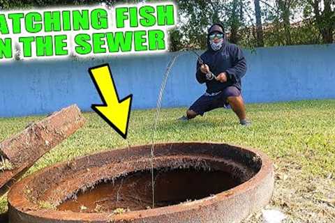 Man CATCHES Fish in SEWER!!!