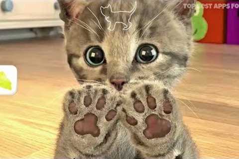 Little Kitten 🐱 My Favorite Cat Game App for Kids | iPad &amp; iPhone