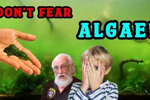 ALGAE- Good, Bad, Ugly, or Exotic - Algae Transforms Your Aquarium