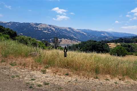 Rosendin Point and Coyote Creek