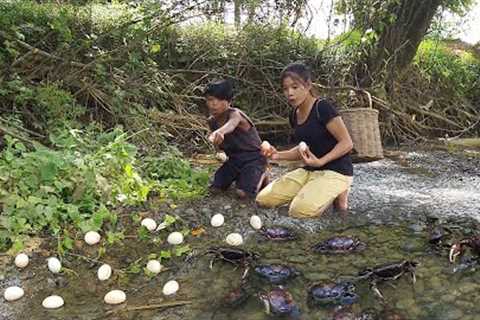 Adventure in forest: Catch crab and Pick egg for food - Cooking Crab delicious with egg for dinner