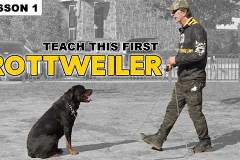 First Things to Teach Your Rottweiler - Dog Training