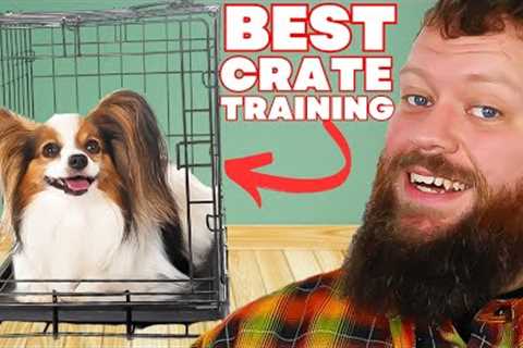 The ULTIMATE Crate Training Guide For Your New Dog