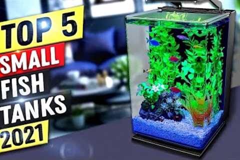 Best Small Fish Tank 2022 | Top 5 Small Fish Tanks