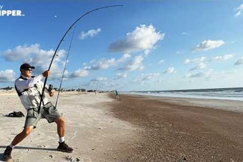 Catching the BIGGEST FISH on the Beach! Easy and Simple Surf Fishing Method