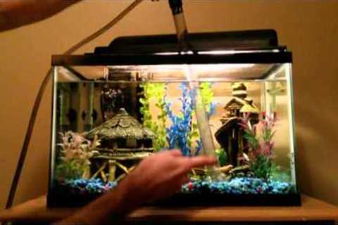 Performing A Freshwater Tank Water Change