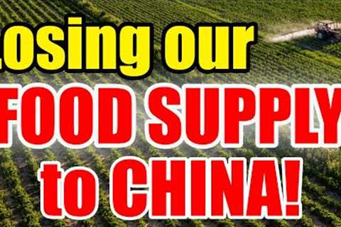 Our FOOD SECURITY under ATTACK – STOCK up NOW while YOU CAN!
