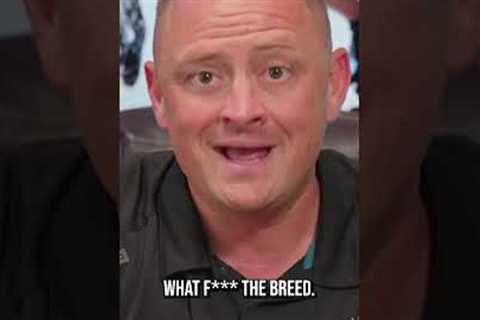 Is This the Shaolin Master of Dog Training?