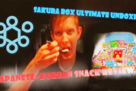 The ULTIMATE Japanese and Korean Snack UNBOXING
