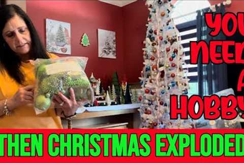 Jan Does Christmas - Collecting Ornaments - DIY Projects - Trees &amp; Lights Everywhere - New Hobby