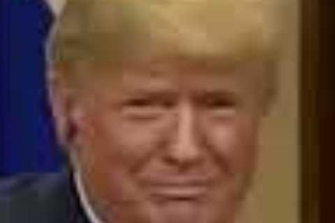 The Real Barron Trump School