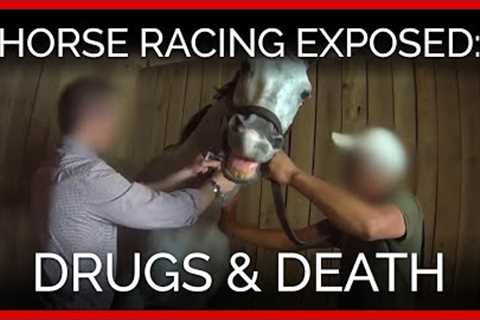 Horse Racing Exposed: Drugs and Death