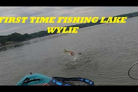Finally broke the one fish skunk!! First time fishing on Lake Wylie.