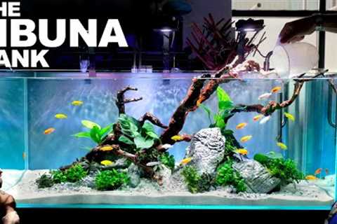 The Mbuna Tank: EPIC 4ft FIRST TIME Aquarium (Aquascape Tutorial)
