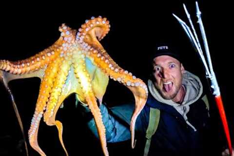 GIANT OCTOPUS - Catch and Cook - How To Cook PERFECT Octopus Every Time