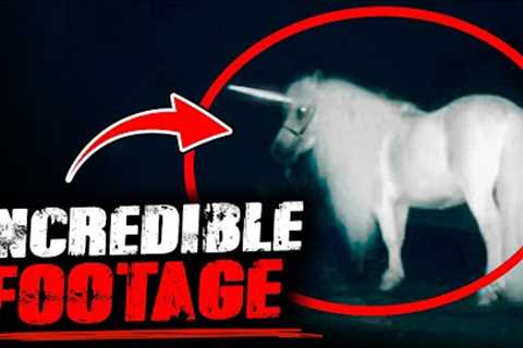 5 Minutes of INCREDIBLE trail cam captures!
