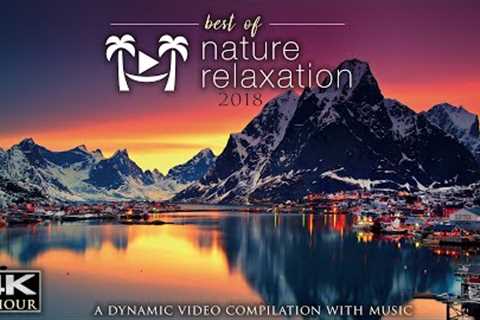 10 HOURS of Healing Music &amp; 4K Nature: Best of 2018 Mix (No Loops) Worlds Paradises by Drone UHD
