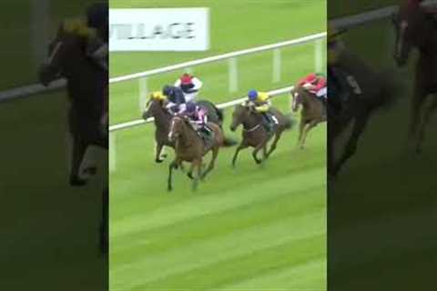 Jockey causes mayhem in race! #horseracing #horses #jockey #shorts