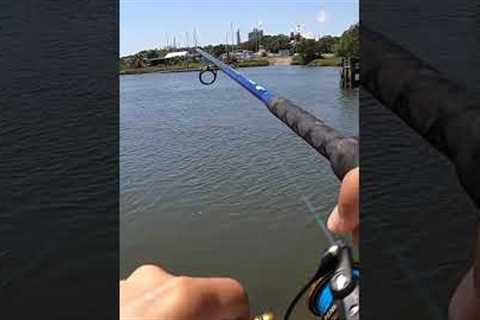 Eating What I Catch under the Bridge 🎣