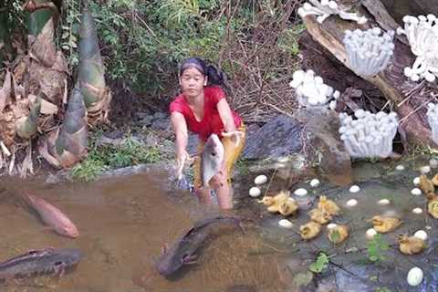 Survival skills in forest: Fish spicy grill +2 video cooking for survival &amp; Eating delicious