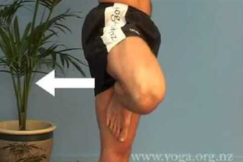 Beginners Online Yoga Class  - Classes of 20 Yoga postures