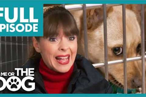 Victoria's Epic Battle to Save 60 Dogs in Collapsing Shelter! | Full Episode | It's Me or The Dog