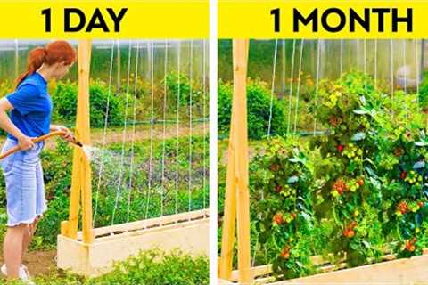 Awesome Plant Growing Hacks || Gardening Tips For Beginners
