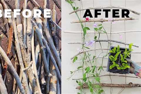 🍅 Build this DIY Trellis + Vertical Gardening Ideas for Your Garden