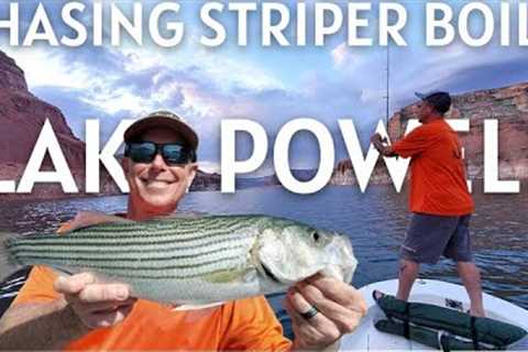 Chasing Striper Boils, Fishing Lake Powell, Day Two - Early Fall