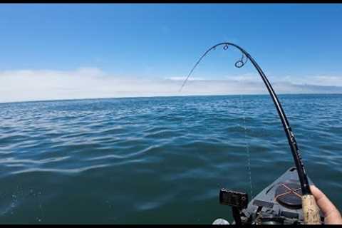 Lots Of Fluke/Flounder/Bluefish Ocean Kayak Fishing New England