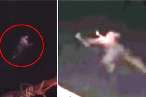 What Happened To Cameron Robbins Who Jumped Off A Cruise Ship And Vanished As A Dare?