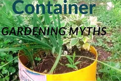 5 container gardening myths that should be avoided