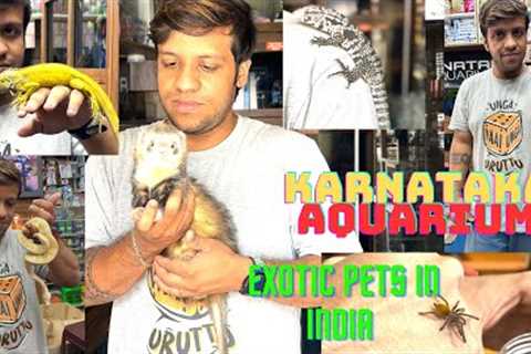 Exotic Pets in Bangalore From @KarnatakaAquarium