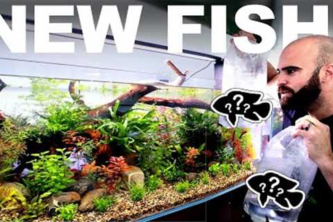INSANE NEW FISH! 4ft No Filter Aquarium