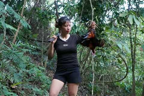 build an emergency shelter, spot, track, jungle fowl, survival alone