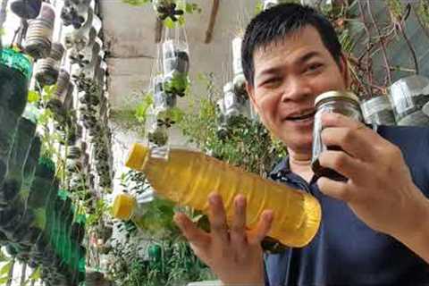 HOW TO MAKE NEEM OIL, TEA &amp; JUICE: ORGANIC PESTICIDE CONTROL HUNDREDS OF INSECTS (with ENG subs)