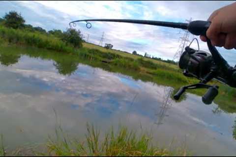 We Had An Amazing Day Fishing This Lake!