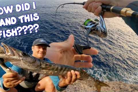 EPIC MORNING LURE FiSHING - SEA FISHING WITH LURES - TWO BEASTS Make My MORNING