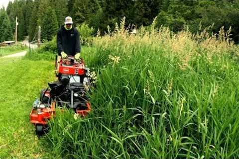 Helped My Wife's Friend MOW Her Overgrown GRASS That Was TALLER Than Me!