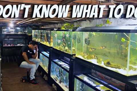 I Keep Choosing The Wrong Fish For My Aquarium. What should I do?